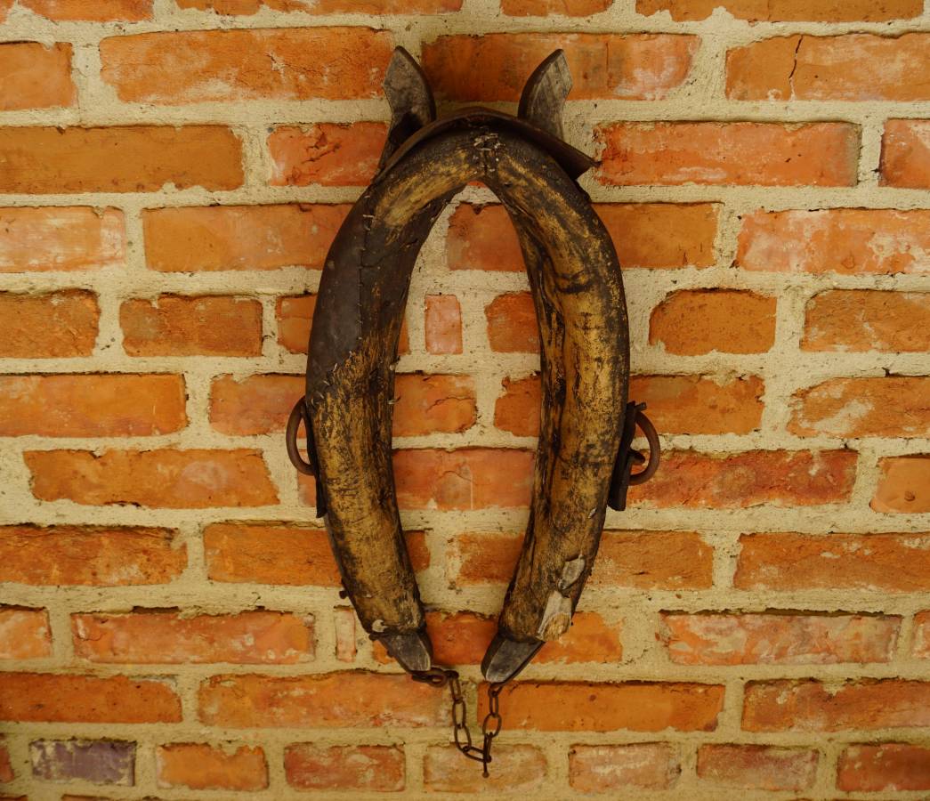 Starý chomout