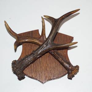 Podložky pod trofeje - staré