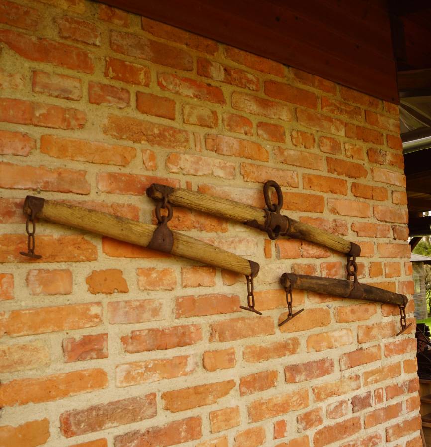 Postroj na koně či voly