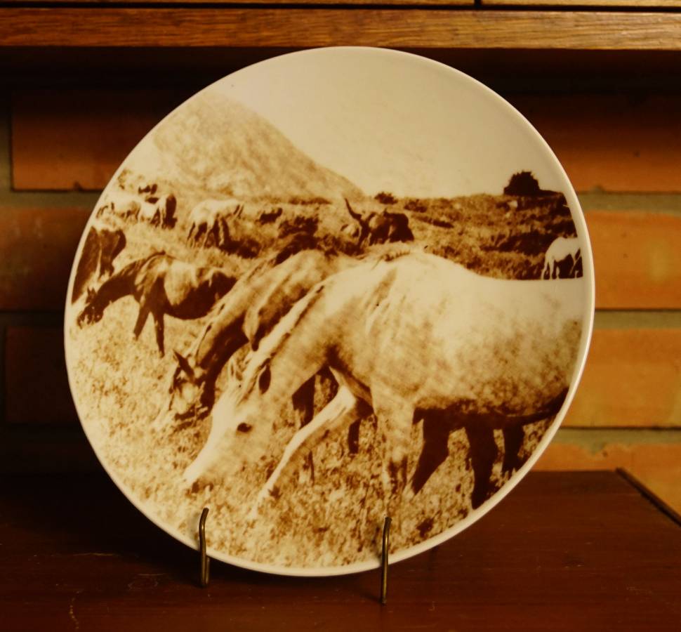 Talíř - koně