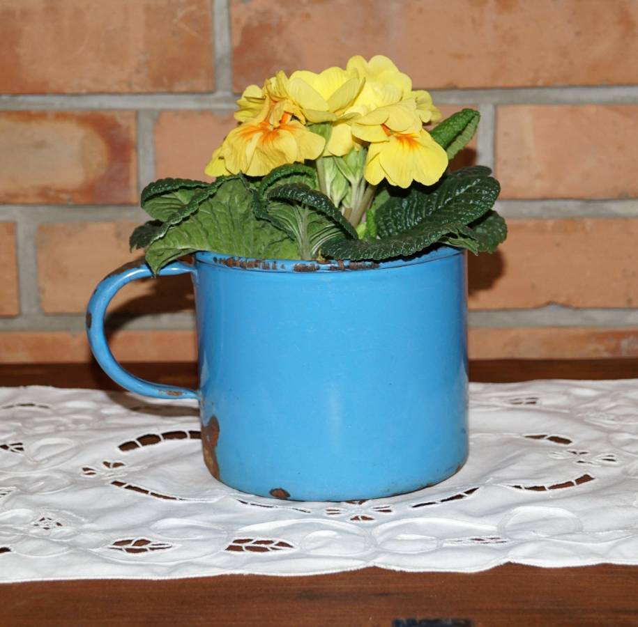 Velký smaltovaný plecháček