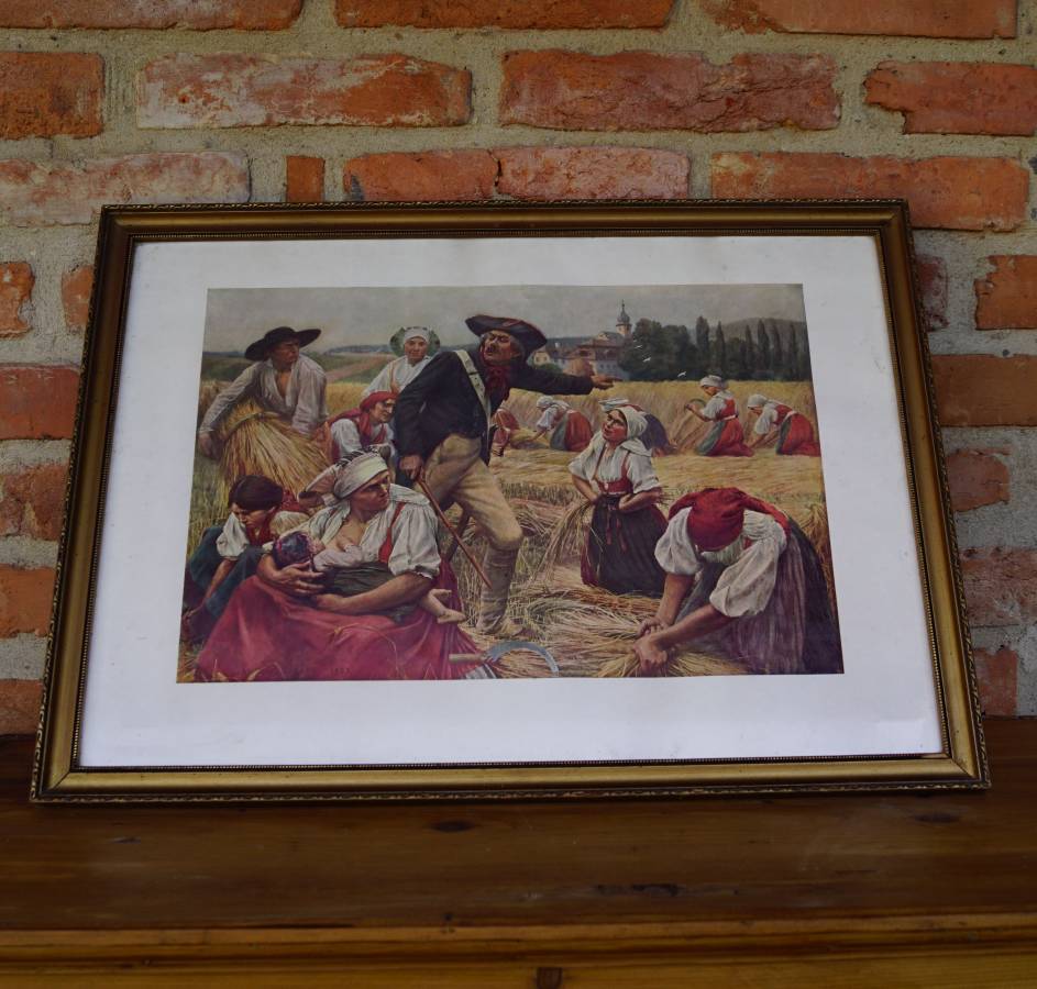 Obraz sklizeň obilí /152.