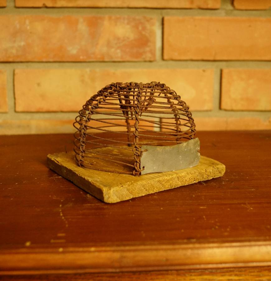 Pastička na myši