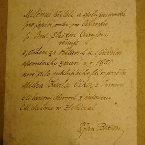 Obrázek v rámu /166.